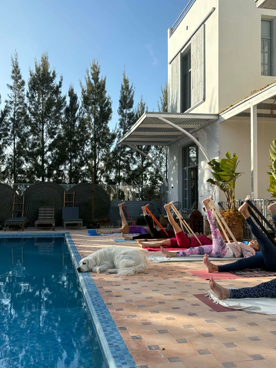 Joga na tarasie Dar Ines 5